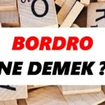 bordro nedir