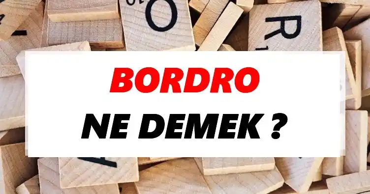 bordro nedir