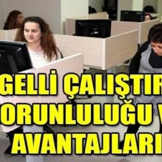 engelli kotası